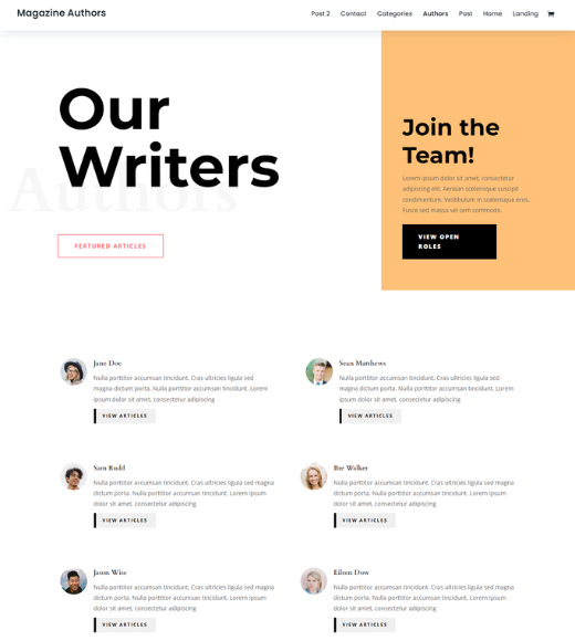 Divi Best WordPress Themes for Writers