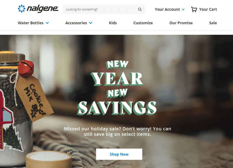 Nalgene eCommerce Website Built With WordPress