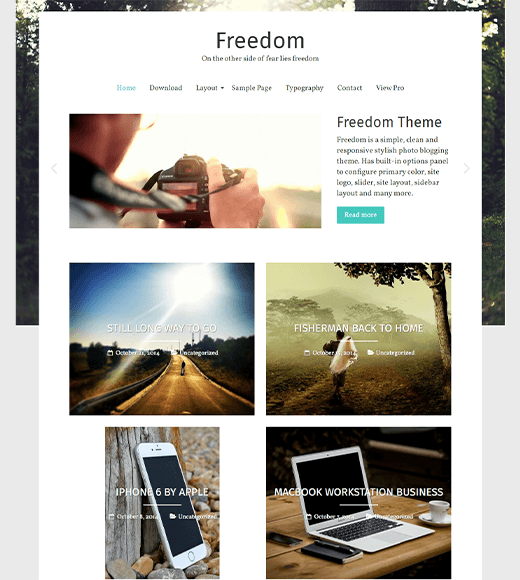 Freedom - WordPress Themes for Artists
