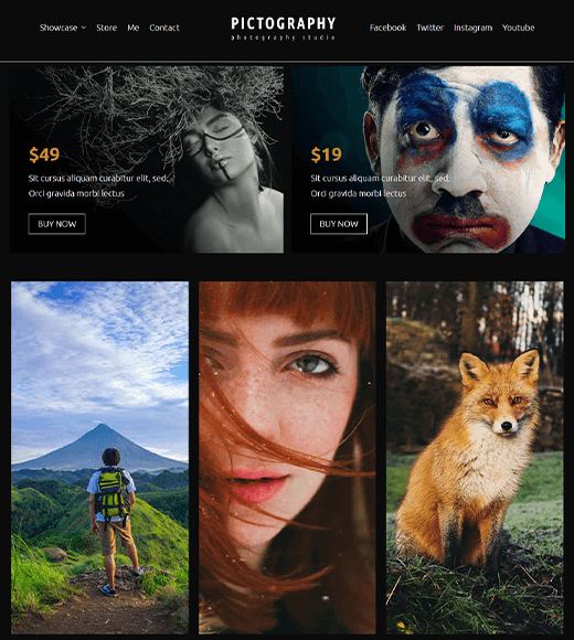 Zakra - WordPress Themes for Artists