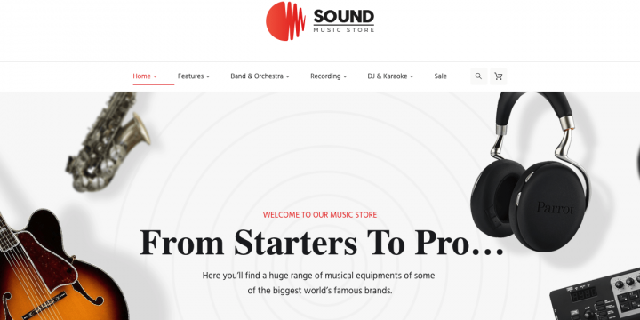 The 5 Best WordPress Music Store Themes (Tested & Reviewed)
